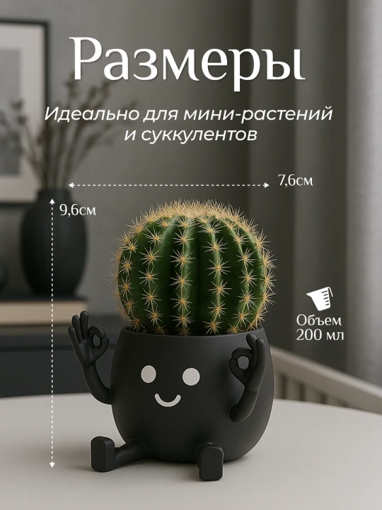 Kaktuslar va sukkulentlar uchun gul idishi