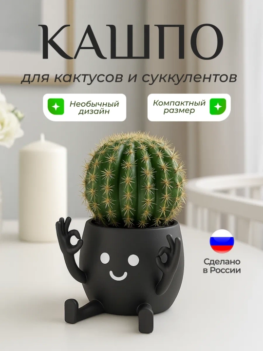 Kaktuslar va sukkulentlar uchun gul idishi