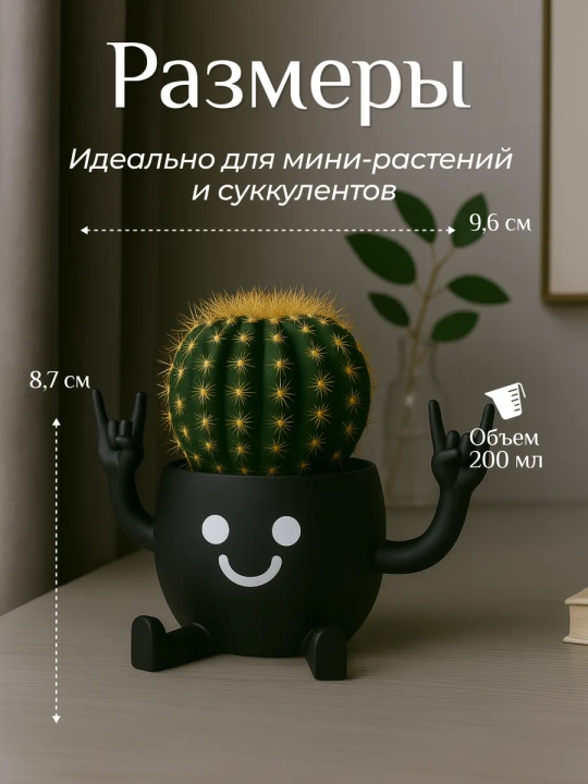 Kaktuslar va sukkulentlar uchun gul idishi
