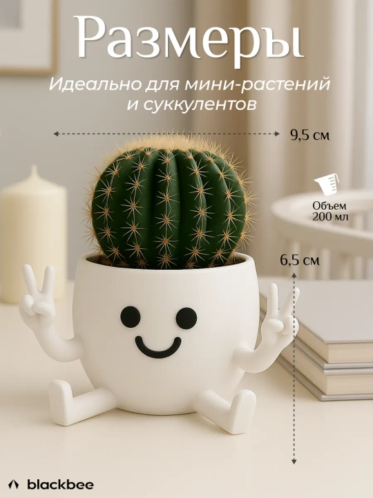 Горшок для цветов кактусов и суккулентов - 