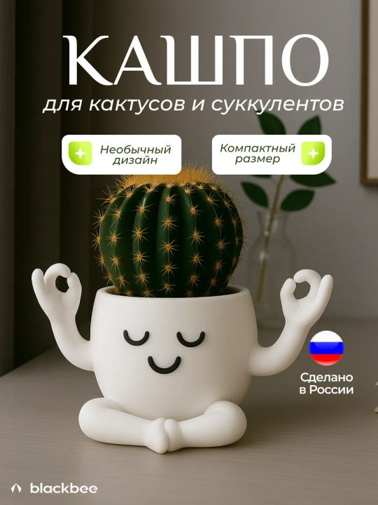 Горшок для цветов кактусов и суккулентов