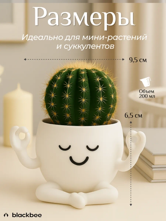Горшок для цветов кактусов и суккулентов
