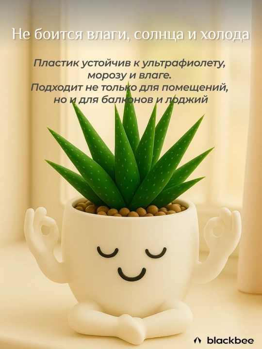 Горшок для цветов кактусов и суккулентов
