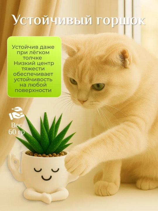 Горшок для цветов кактусов и суккулентов