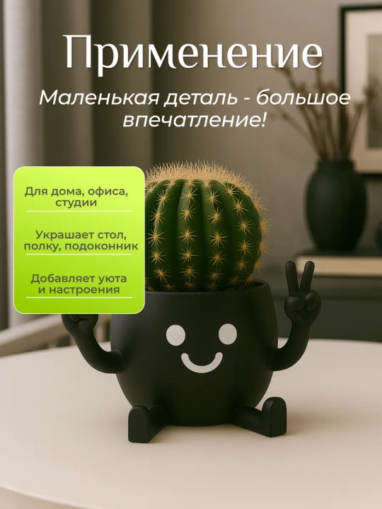 Kaktuslar va sukkulentlar uchun gul idishi
