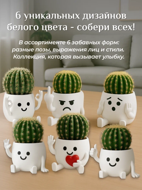 Набор горшков для цветов кактусов и суккулентов