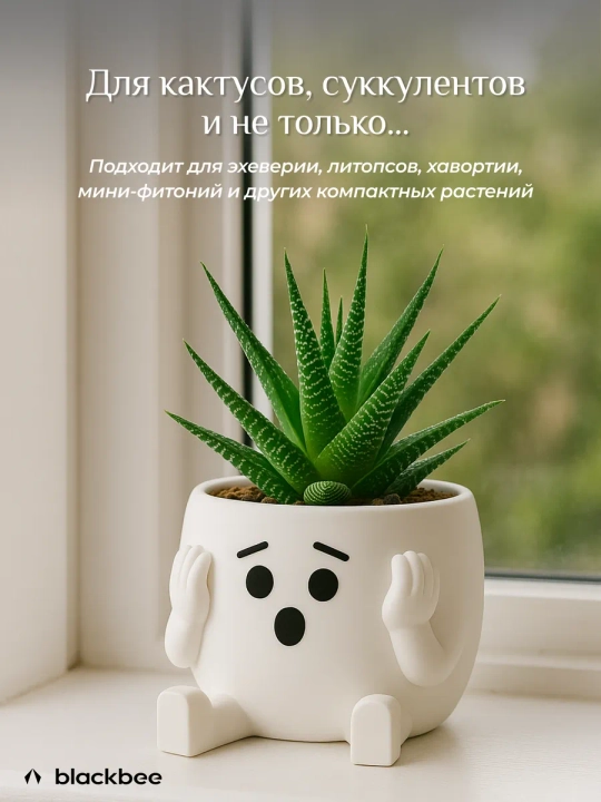 Набор горшков для цветов кактусов и суккулентов