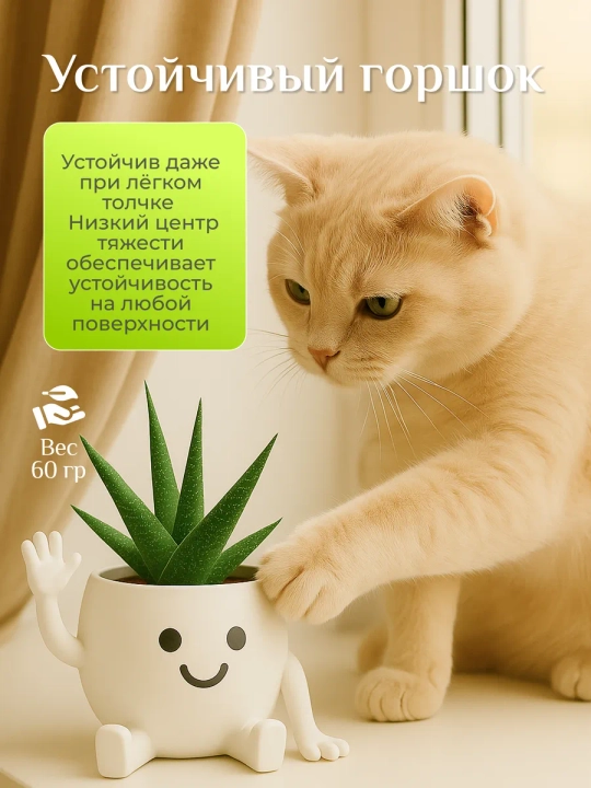 Набор горшков для цветов кактусов и суккулентов