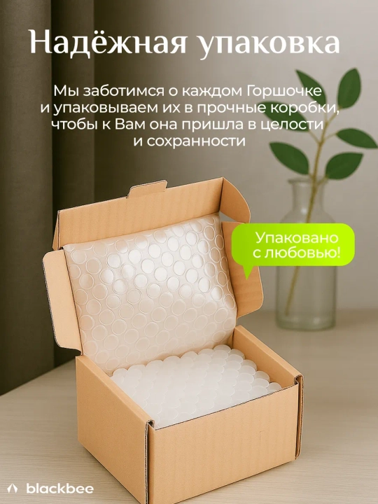 Набор горшков для цветов кактусов и суккулентов