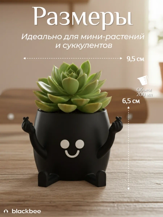 Горшок для цветов кактусов и суккулентов - 