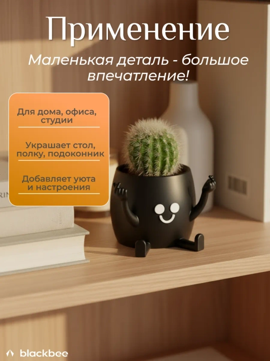 Kaktuslar va sukkulentlar uchun gul idishi