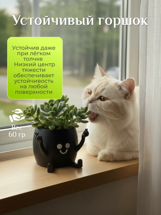 Kaktuslar va sukkulentlar uchun gul idishi
