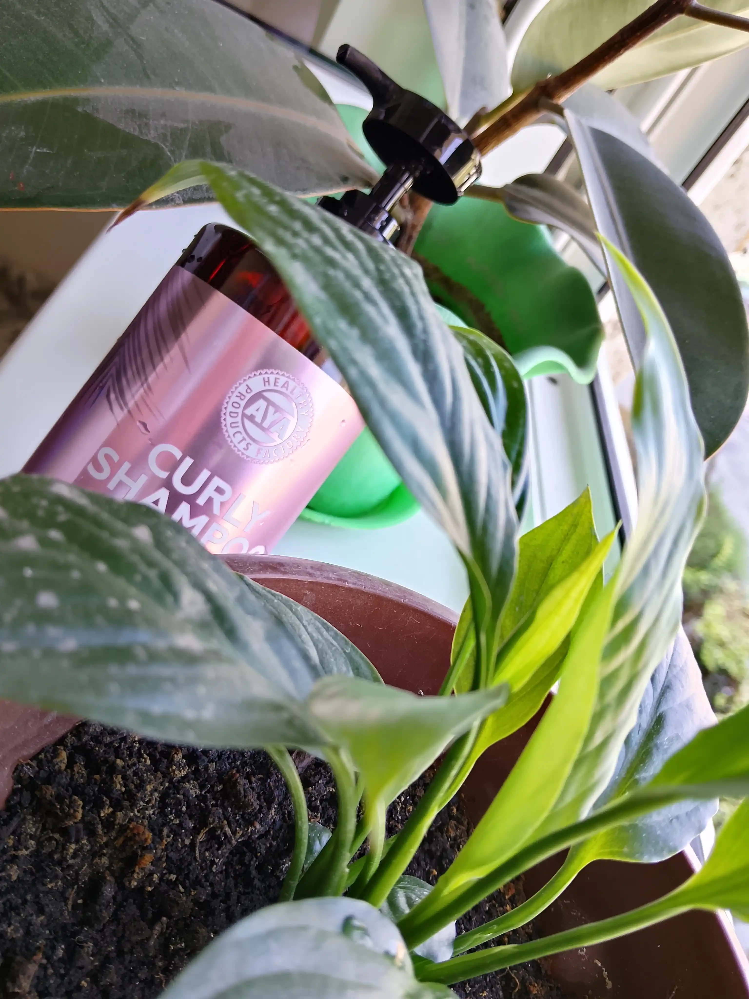 Шампунь для кудрявых волос AYA, кудрявый метод, для кудрявых, 500 мл