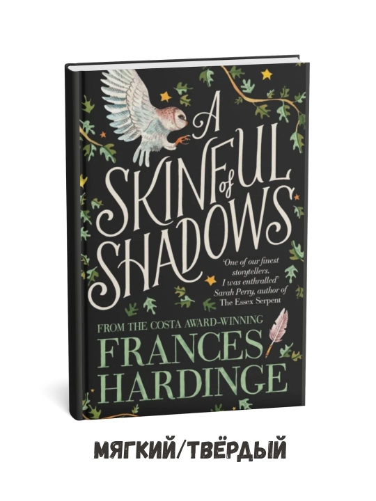 A Skinful of Shadows - Frances Hardinge (ingliz tilida) - 