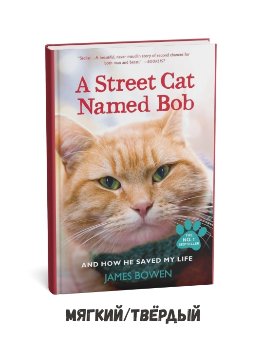 A Street Cat Named Bob - James Bowen на английском языке - 