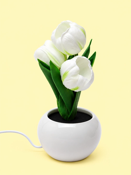 LED tungi lampa «Lola», 5 xil rang
