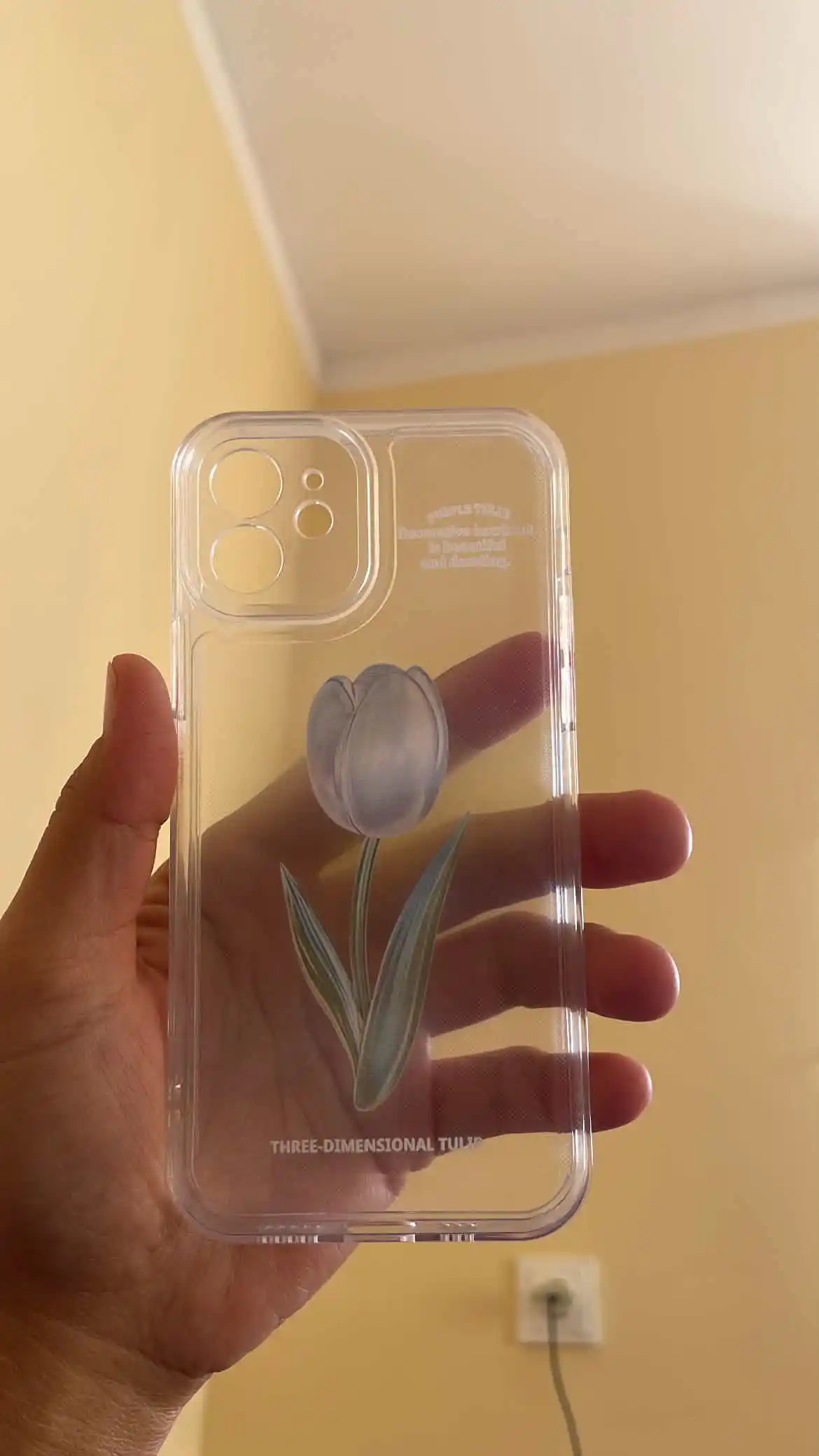 Чехол на iPhone 11, 12, 13, 14, 15, 16, 17, Pro, Pro Max