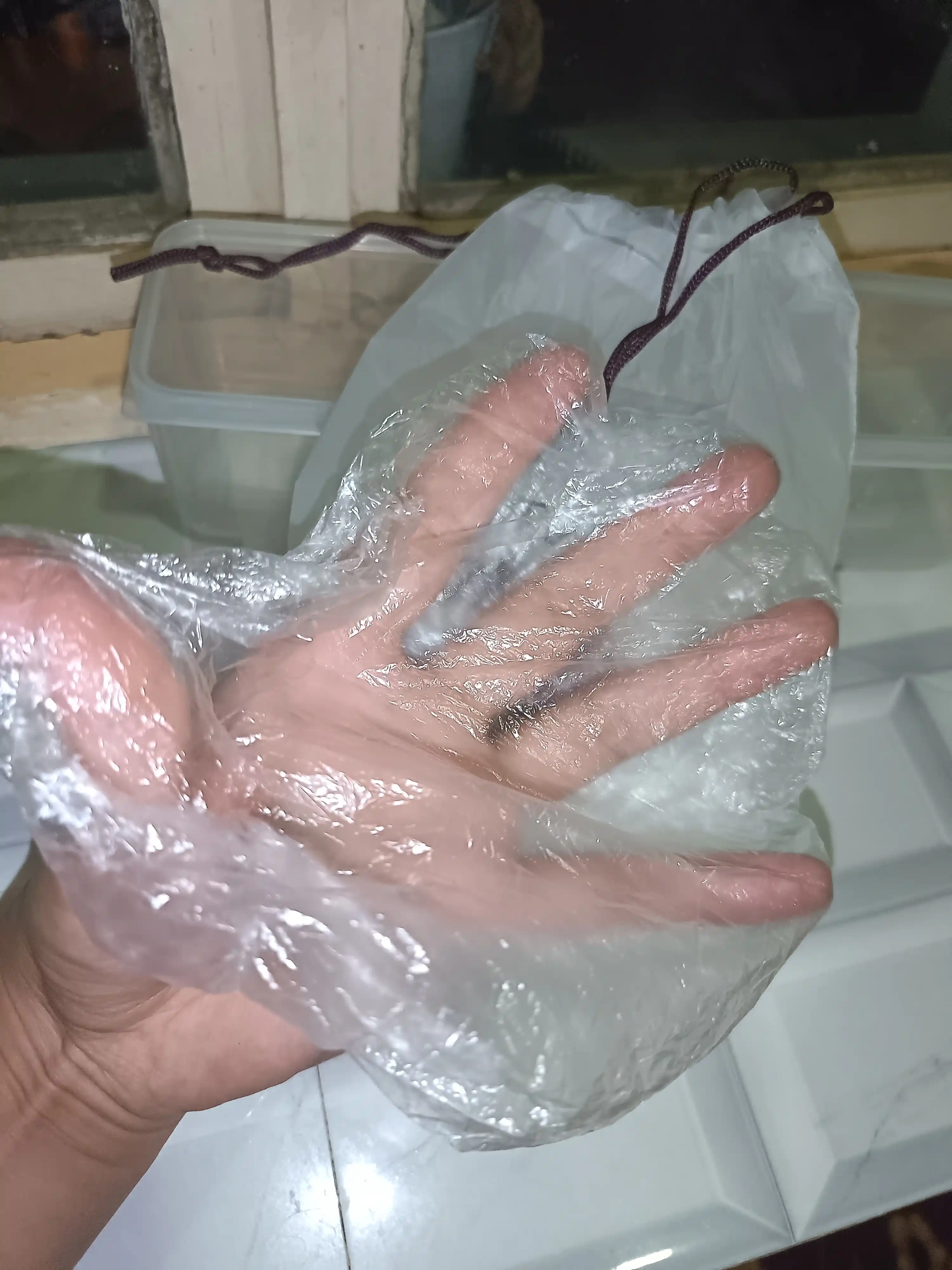 Ko‘p marta ishlatiladigan cho‘ziluvchan paketlar, baxillar, rezinkali, oziq-ovqat mahsulotlarining shamollashidan himoyalovchi