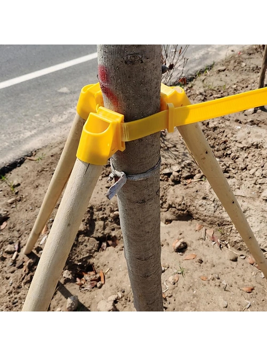 Daraxtni qoziqqa mahkamlash uchun plastik bog‘ich tasma - 