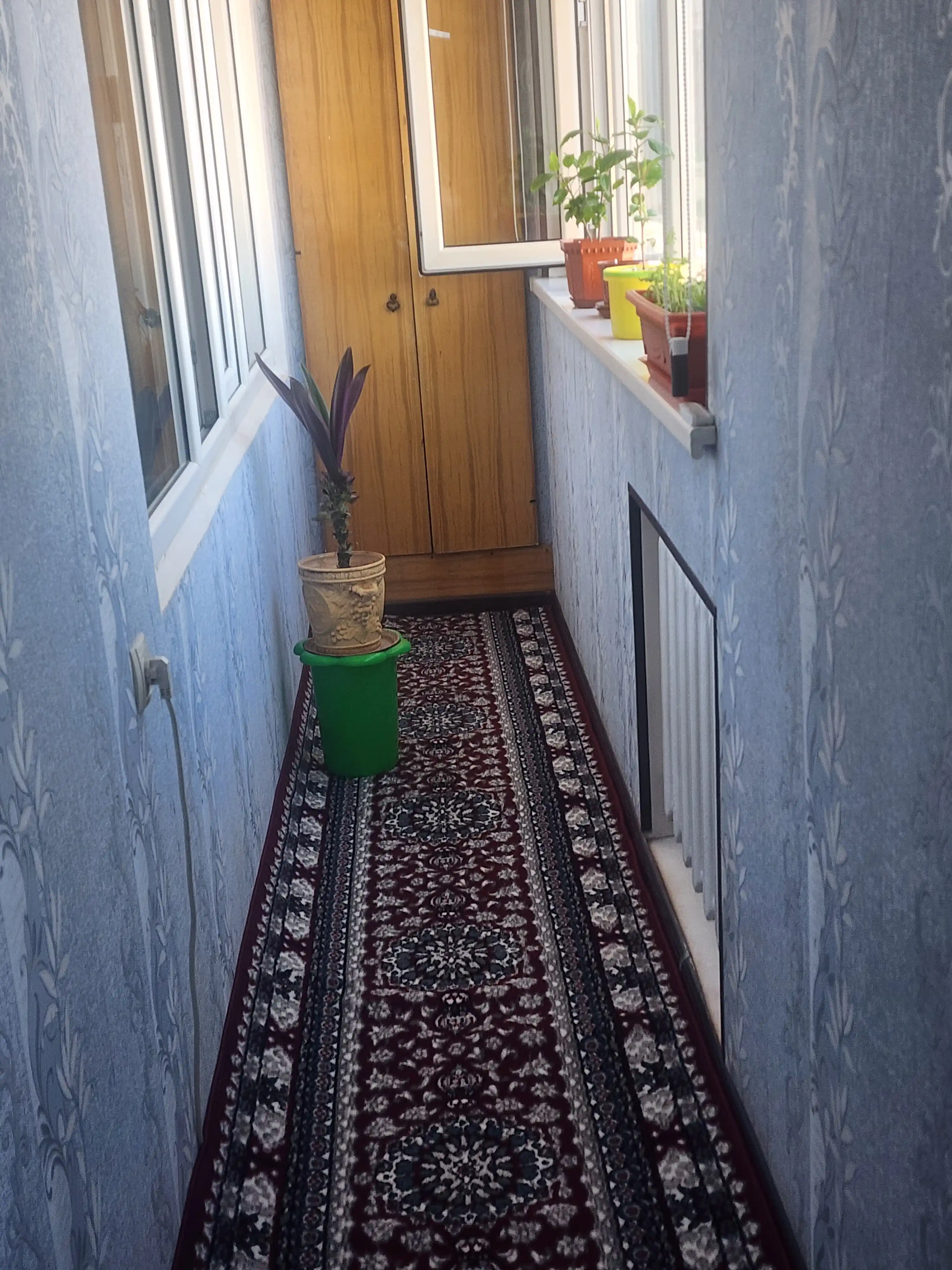 Qizil gulli yo'lak gilamlar