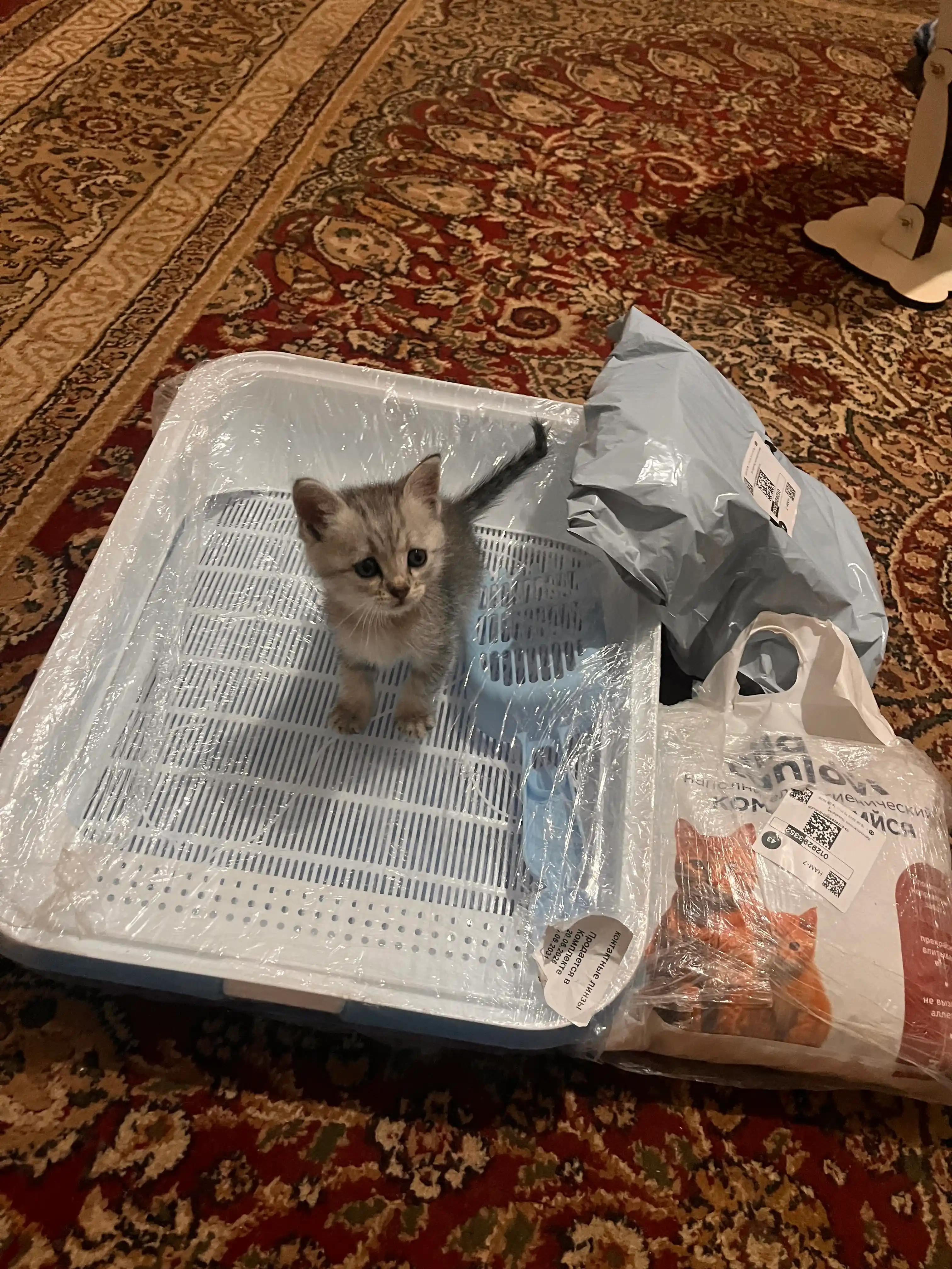 Mushuk va itlar uchun katta qo‘sh kosacha, 27 * 16.5 * 6.5 sm