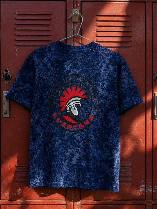 Erkaklar uchun Tampa Spartans printli paxta oversayz futbolka, qisqa yengli