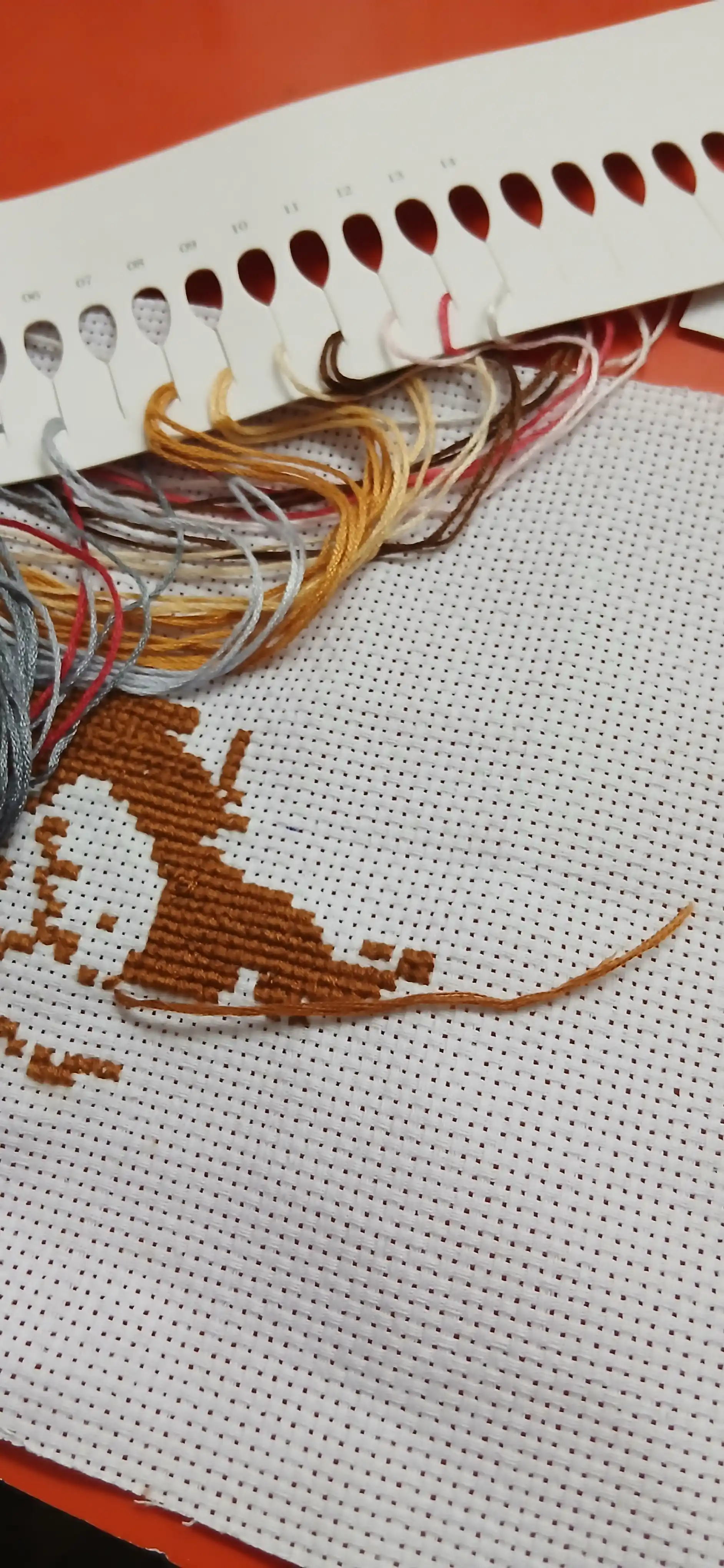20 × 29 sm kashtado'zlik rasmi