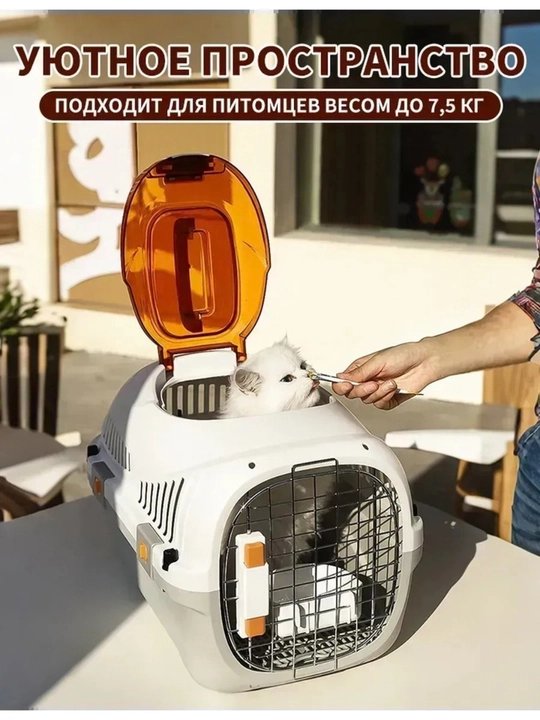 Переноска для домашних животных, контейнер для кошек и собак