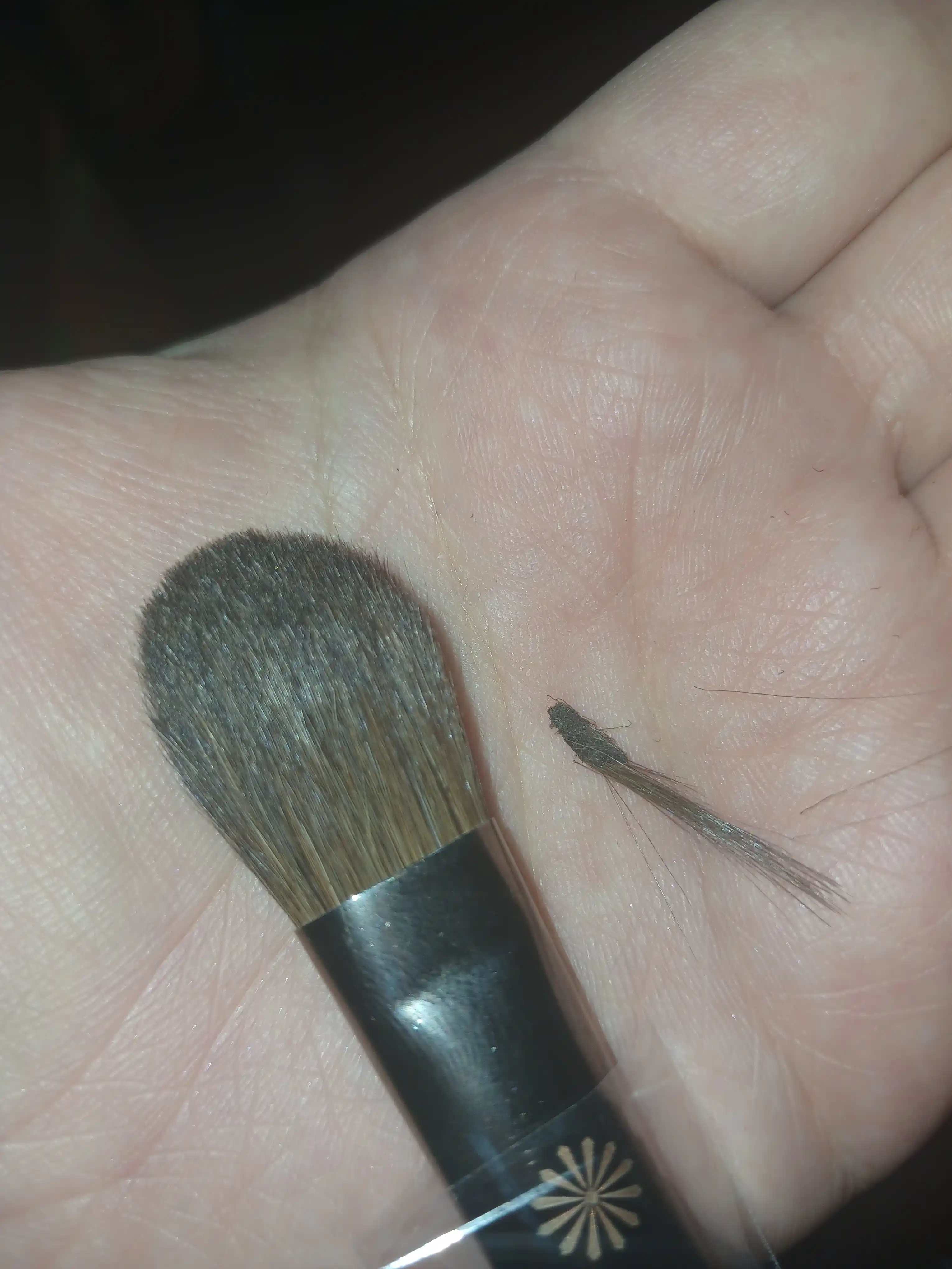 Piccasso professional, tabiiy va sintetik tukli pardoz mo‘yqalamlari