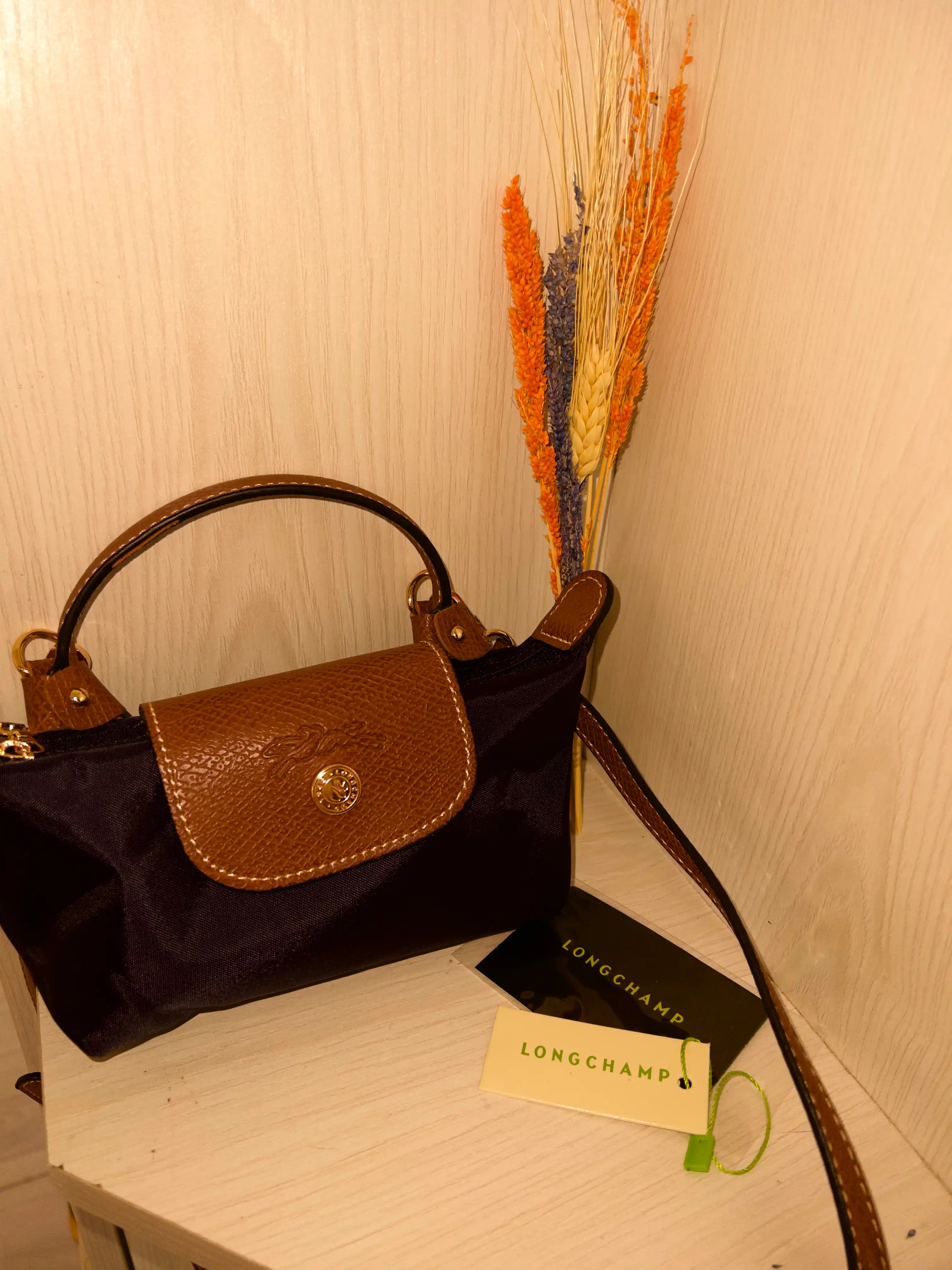 Ayollar sumkasi, mini Longchamp Le Pliage uslubida, yelkadan o‘tkazilgan ixcham
