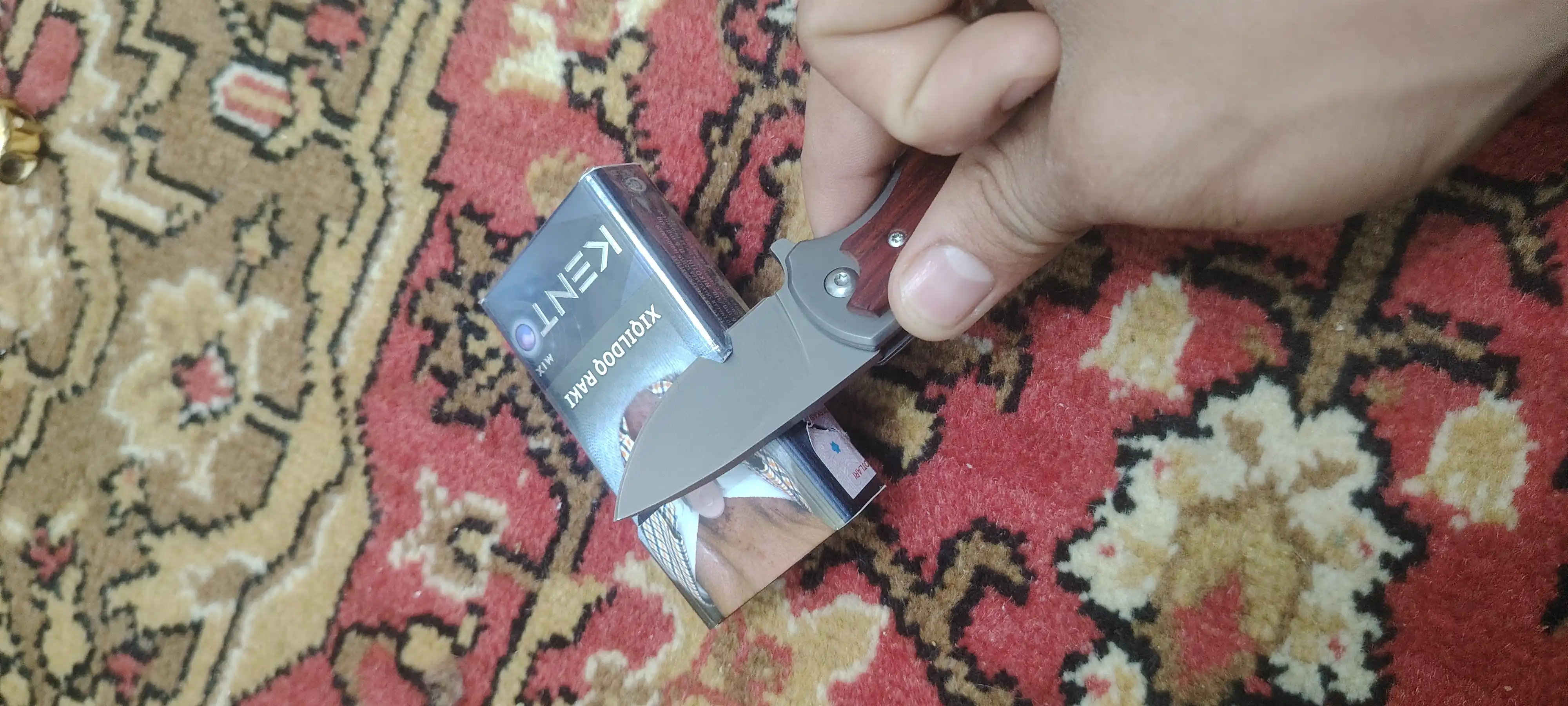 Zanglamaydigan po'latdan ov pichog'i, baliq ovlash, sayohat, kemping va dala ishlari uchun