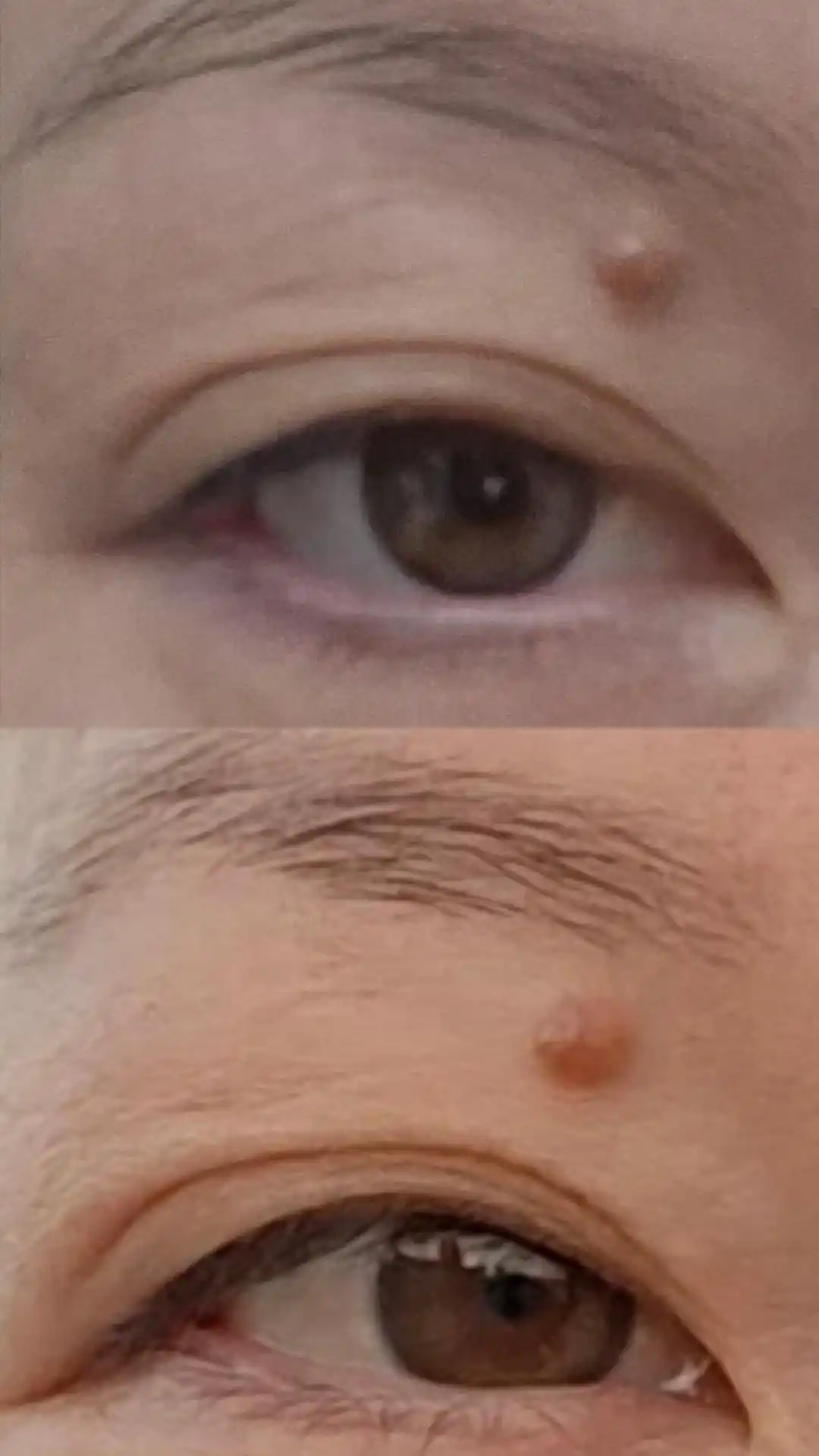 Сыворотка для роста ресниц и бровей SEMILY lash serum, 5 мл