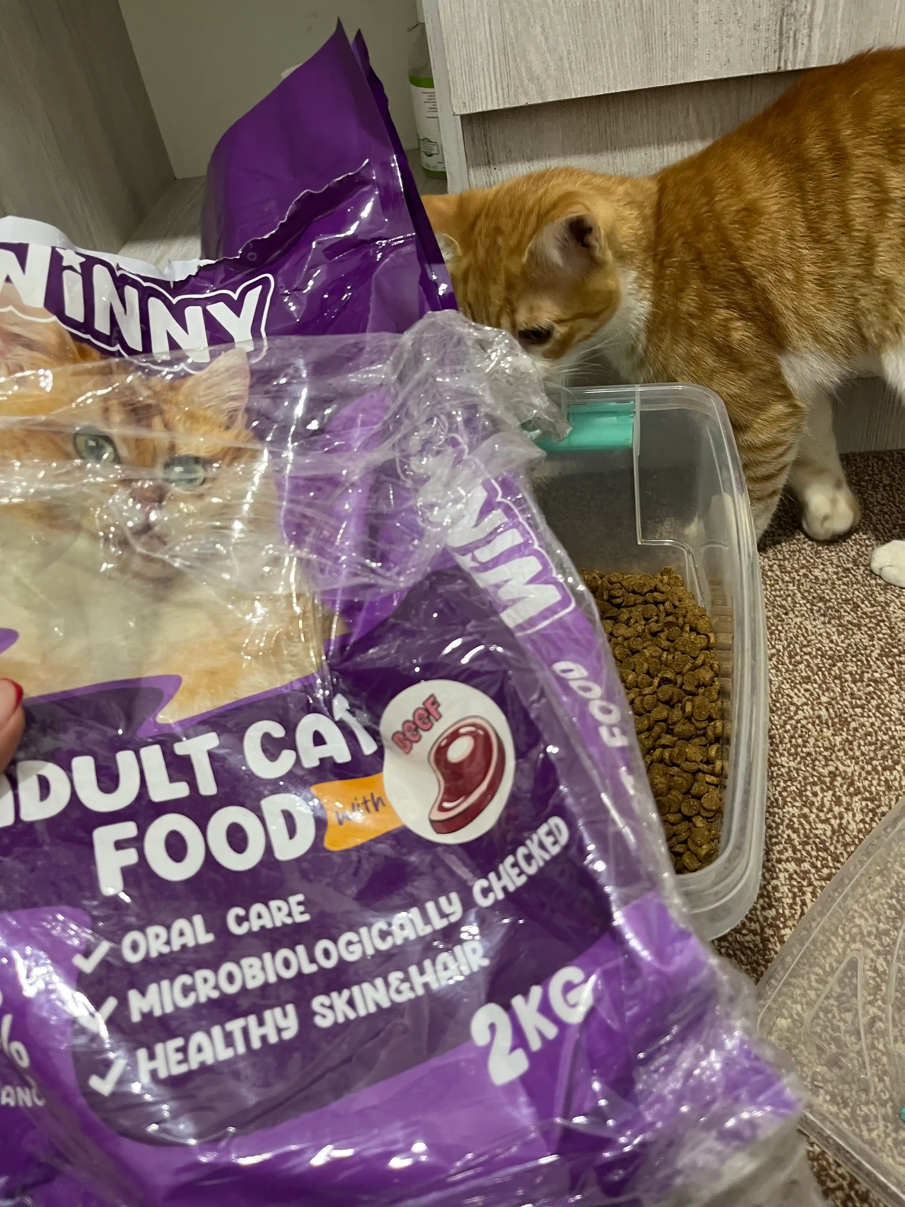 Mol go'shti qo'shilgan Winny quruq mushuk yemi, 2 kg, 10 kg