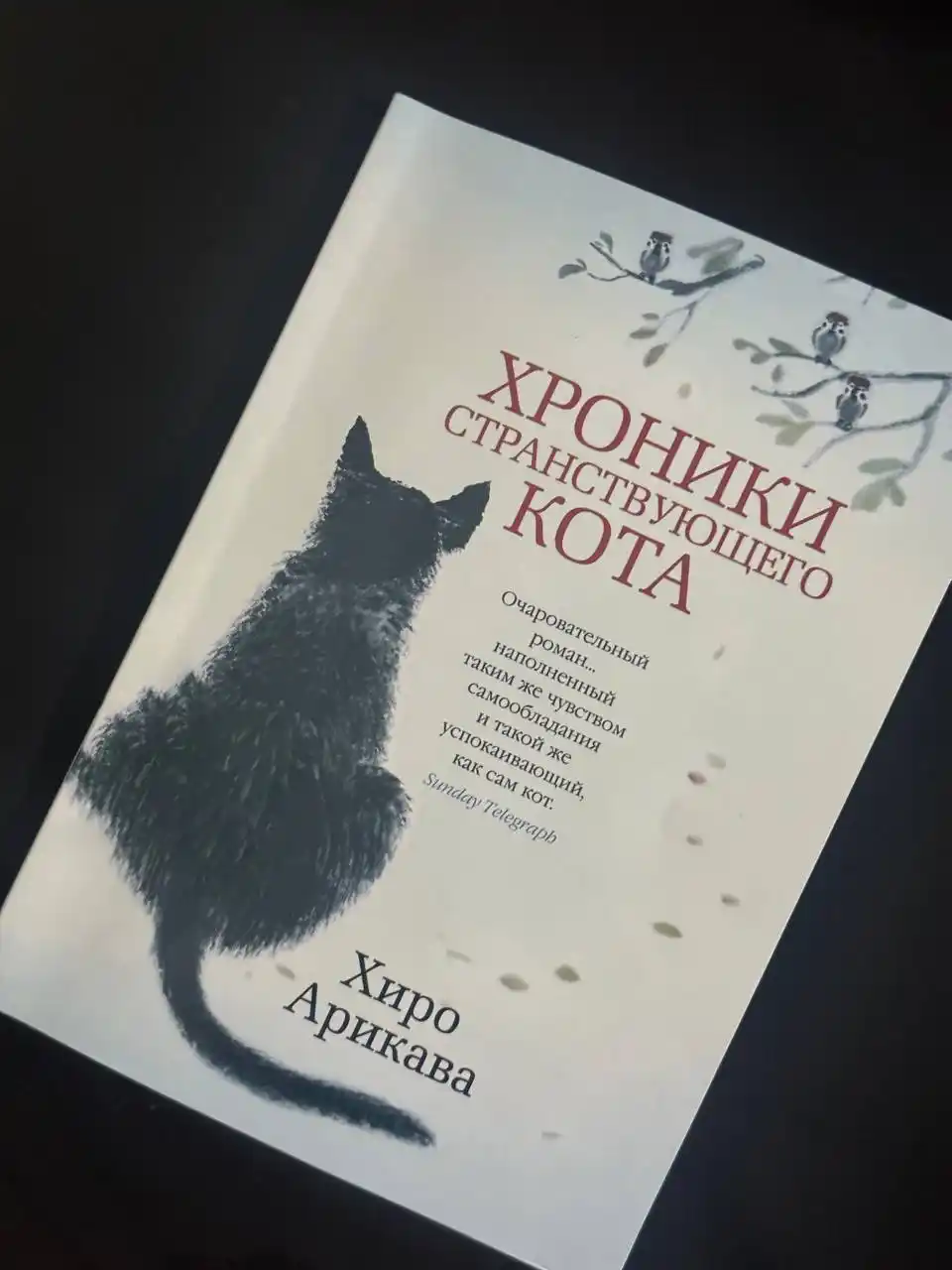 Hroniki stranstvuiushchego kota. Arikava Hiro