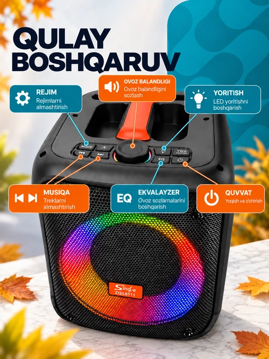 Katta simsiz kalonka Sing-e ZQS, kuchli bass, bluetooth, mikrofonli, karaoke, bayram uchun