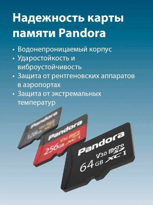 Карта памяти Pandora MicroSD 64ГБ