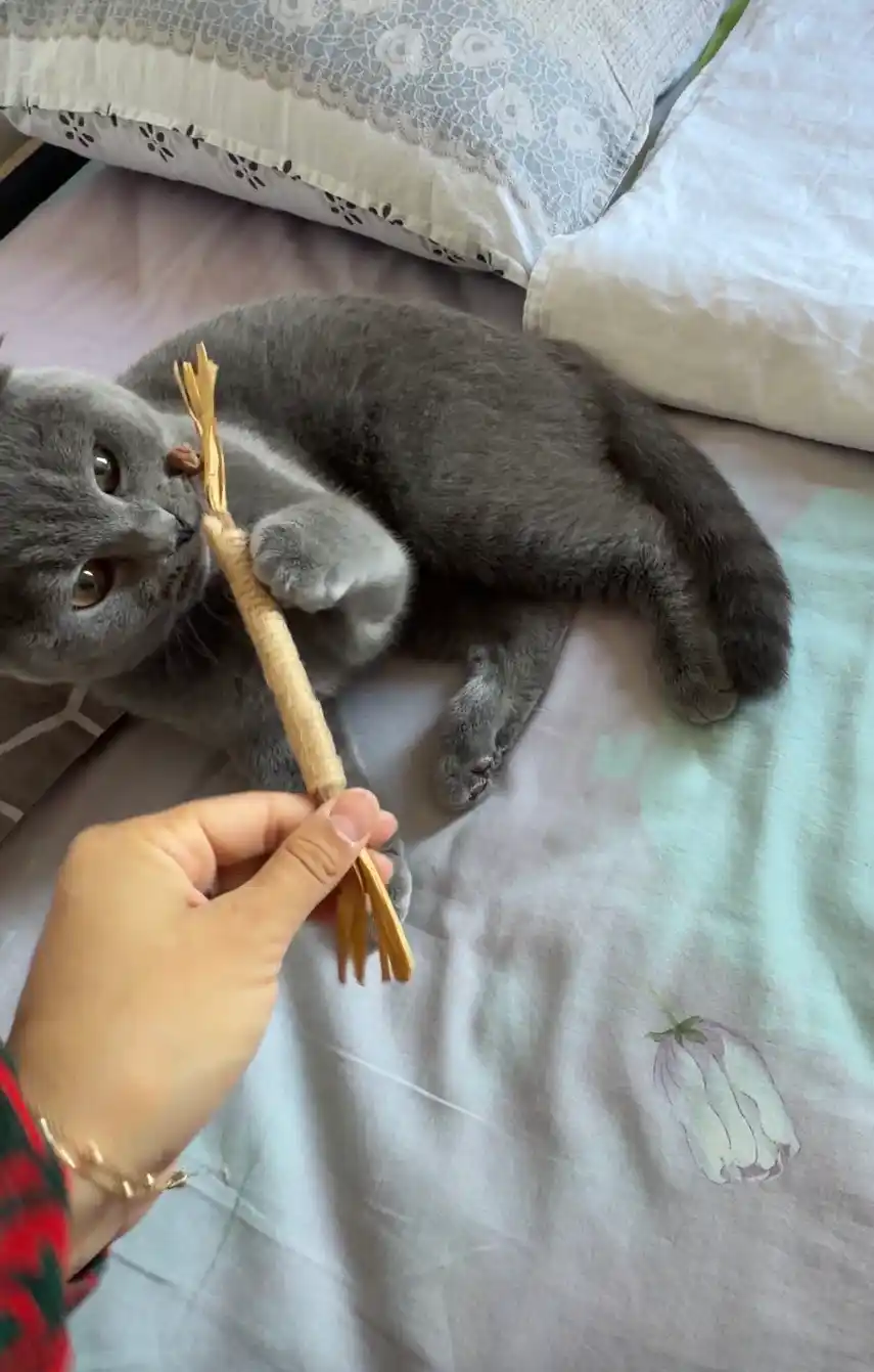 Кошачья мята для кошек, палочка