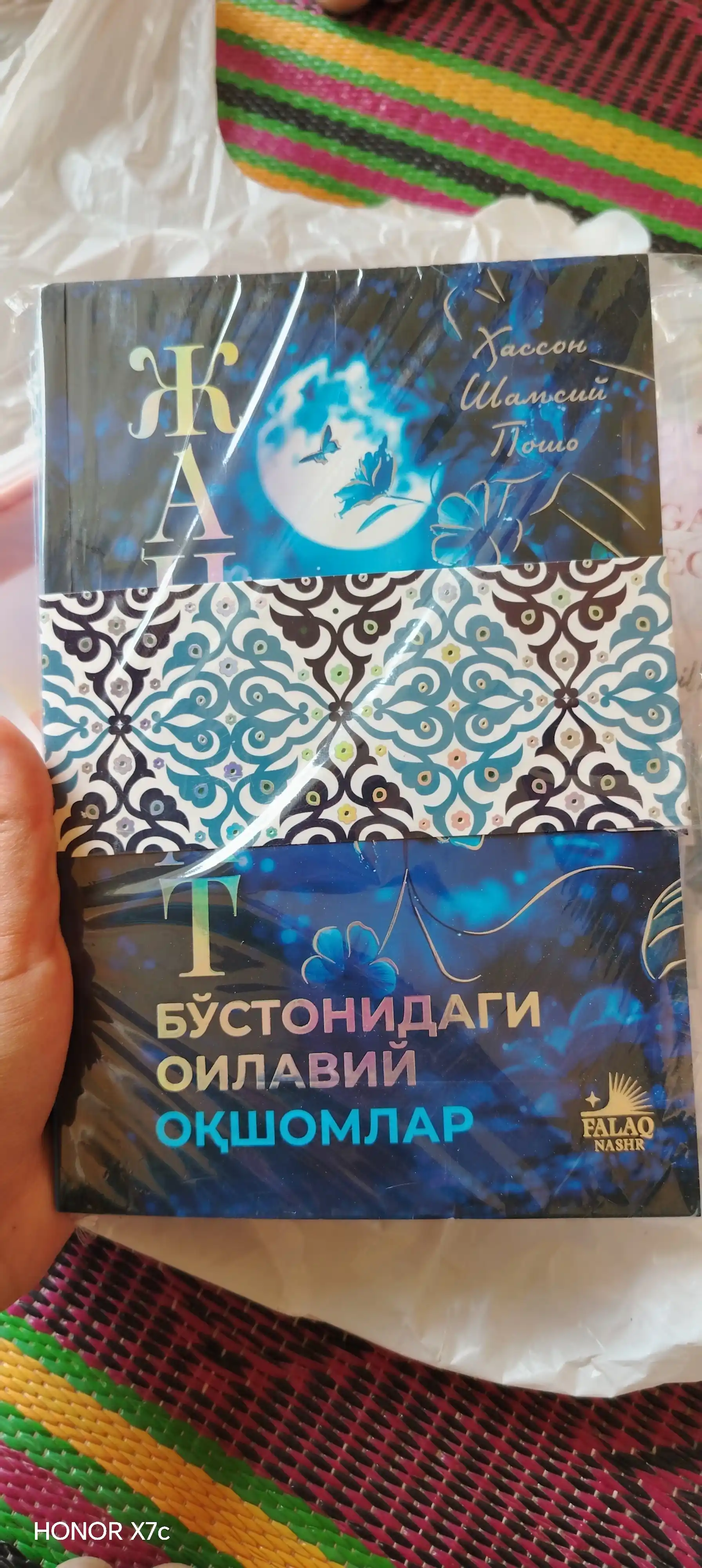 Жаннат бўстонидаги оилавий оқшомлар, Хассон Шамсий Пошо
