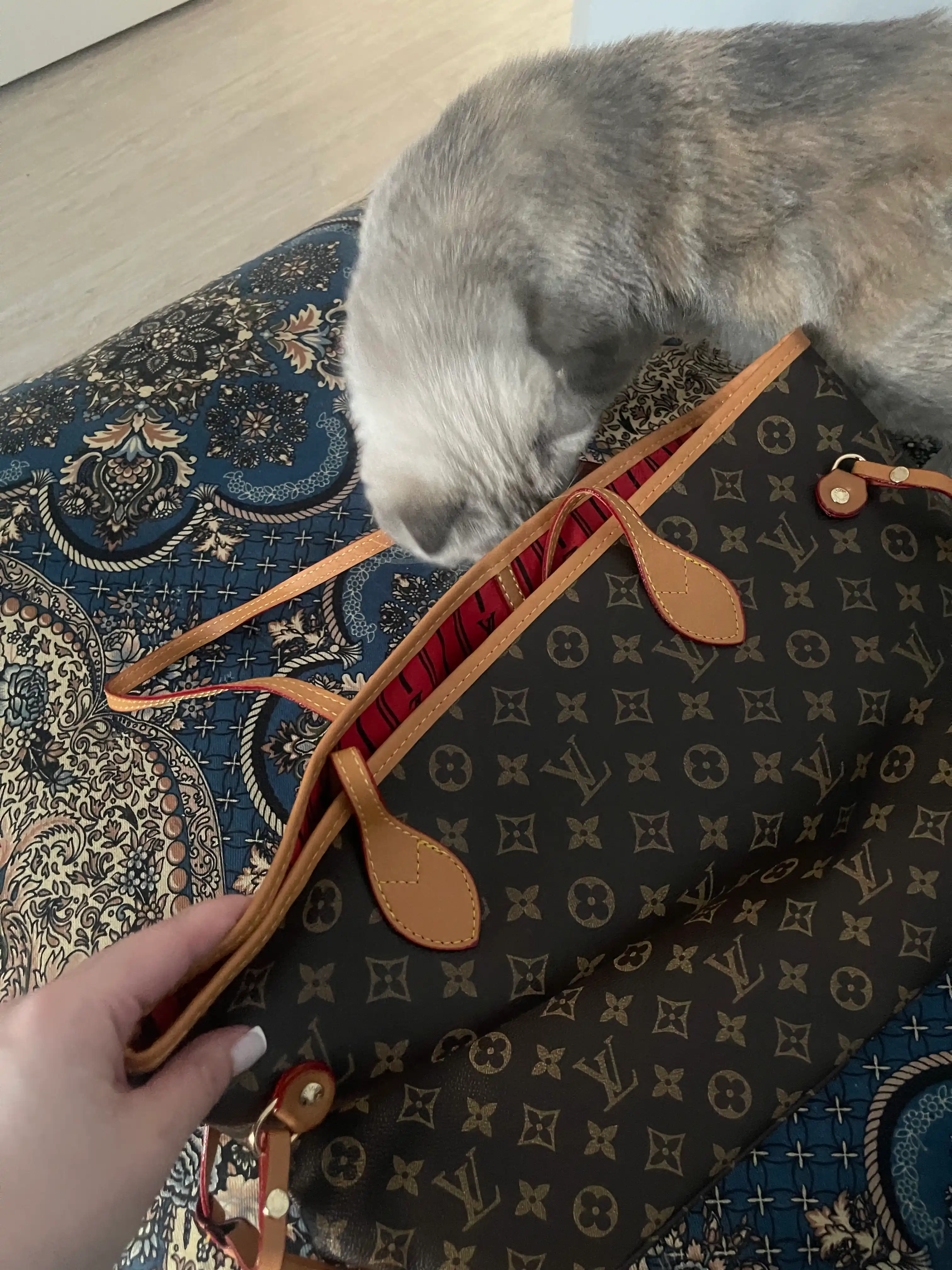 Ayollar sumkasi Louis Vuitton Neverfull uslubida