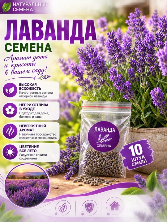 Семена ЛАВАНДЫ, 10 Семян - 