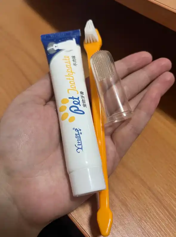 Hayvonlar, itlar va mushuklar uchun cho‘tkali tish pastasi
