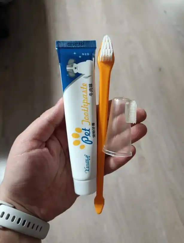 Hayvonlar, itlar va mushuklar uchun cho‘tkali tish pastasi