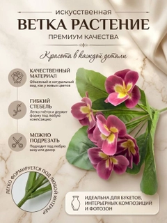 Бордовый