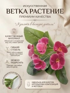 Пастельно-коралловый