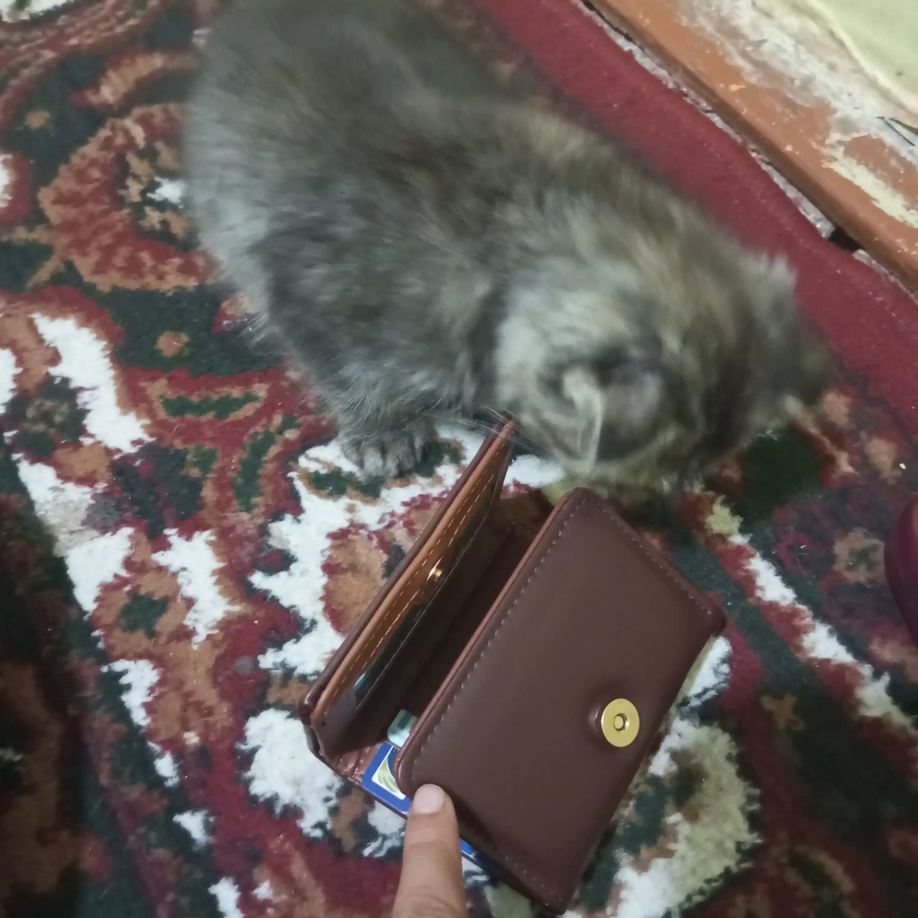 Женский кошелек для денег, маленький бумажник для карт