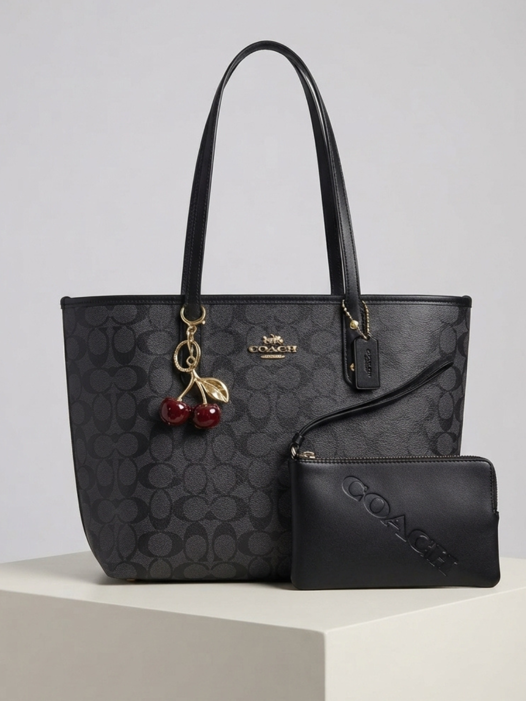 Сумка женская в стиле COACH