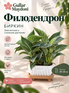Зеленый