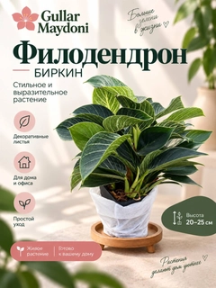 Лесной зеленый