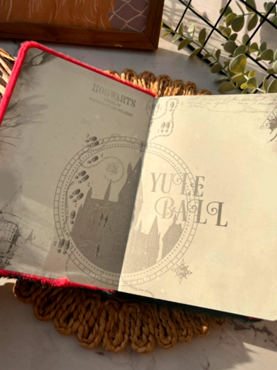 Harry Potter, sehrli mavzudagi yumshoq plyush bloknot