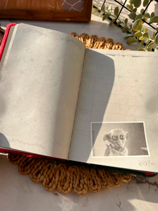 Harry Potter, sehrli mavzudagi yumshoq plyush bloknot